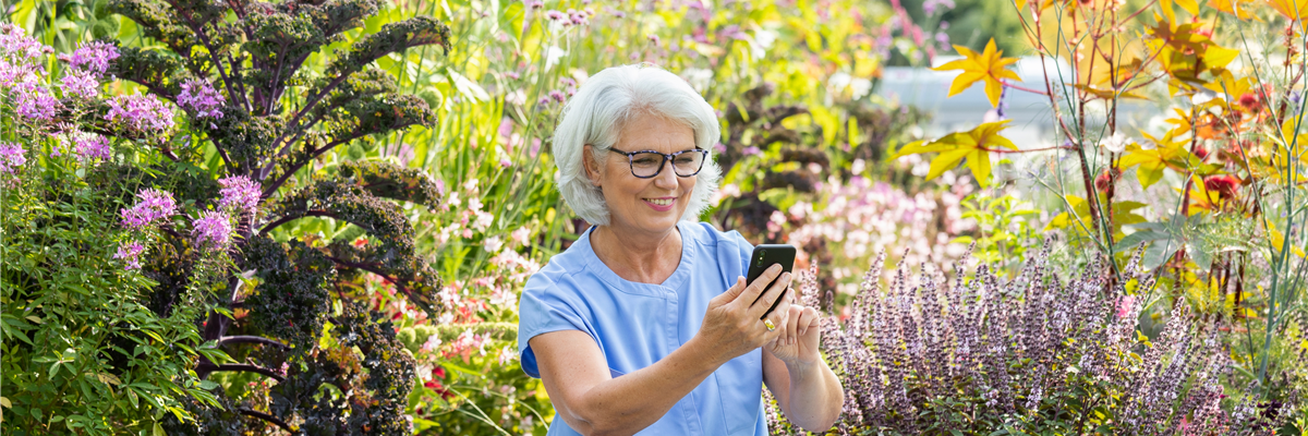 Gartenfreizeit - Frau mit Handy im Garten